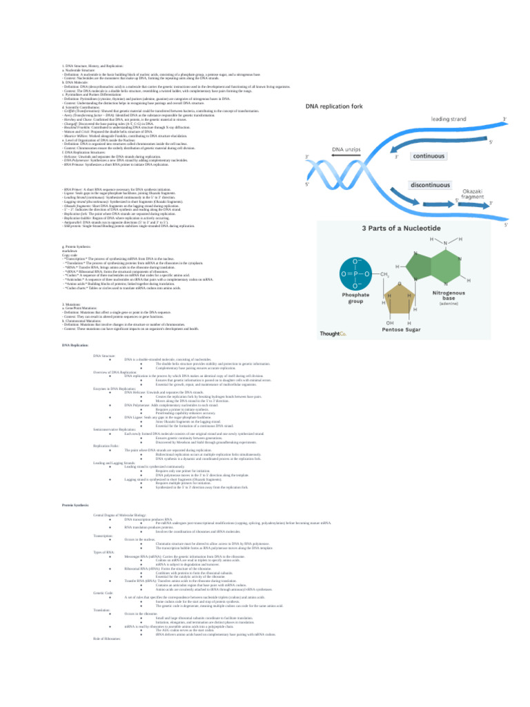 DNA Structure and Replication Overview | PDF | Molecular Genetics ...