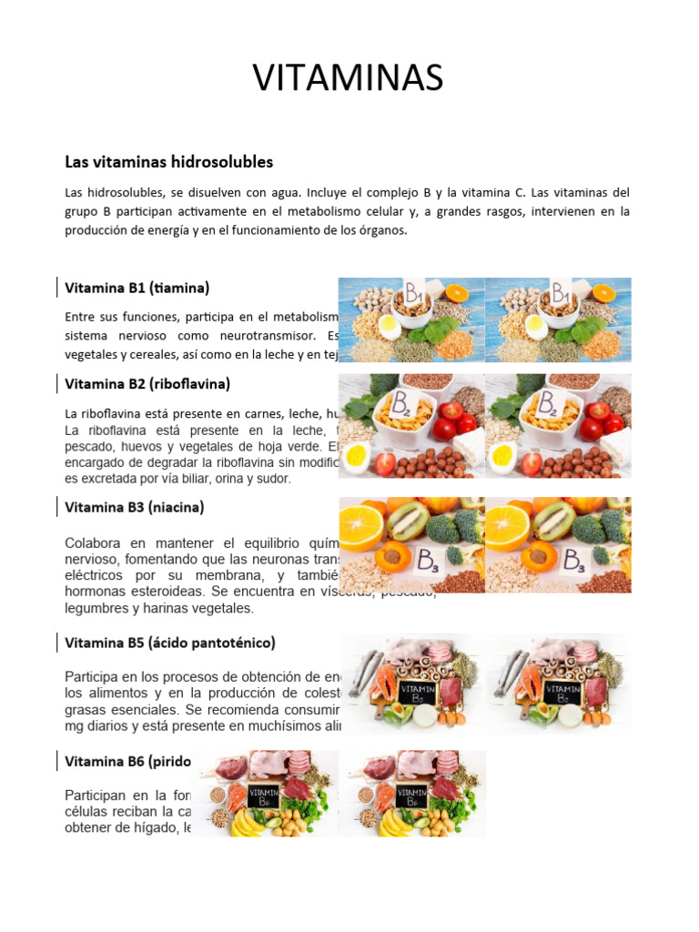 Vitaminas Pdf Vitamina Alimentos