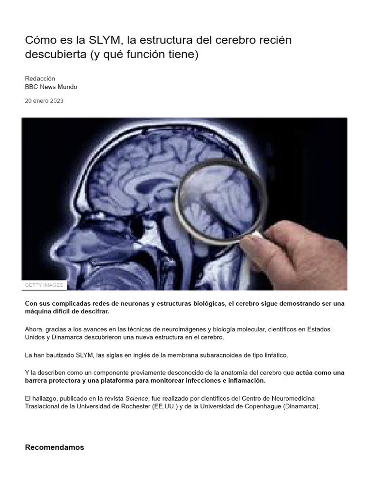 Descubren la nueva membrana SLYM en el cerebro | PDF | Enfermedad de ...
