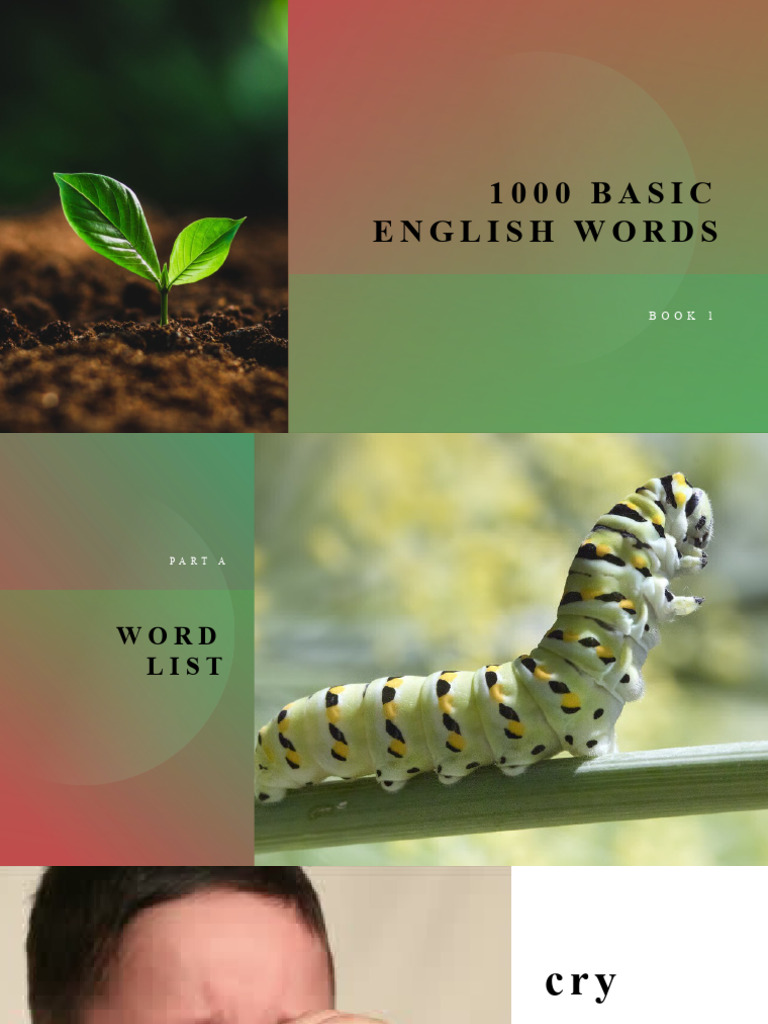 Basic English Words Unit 1 Guide | PDF | Verb | Adjective