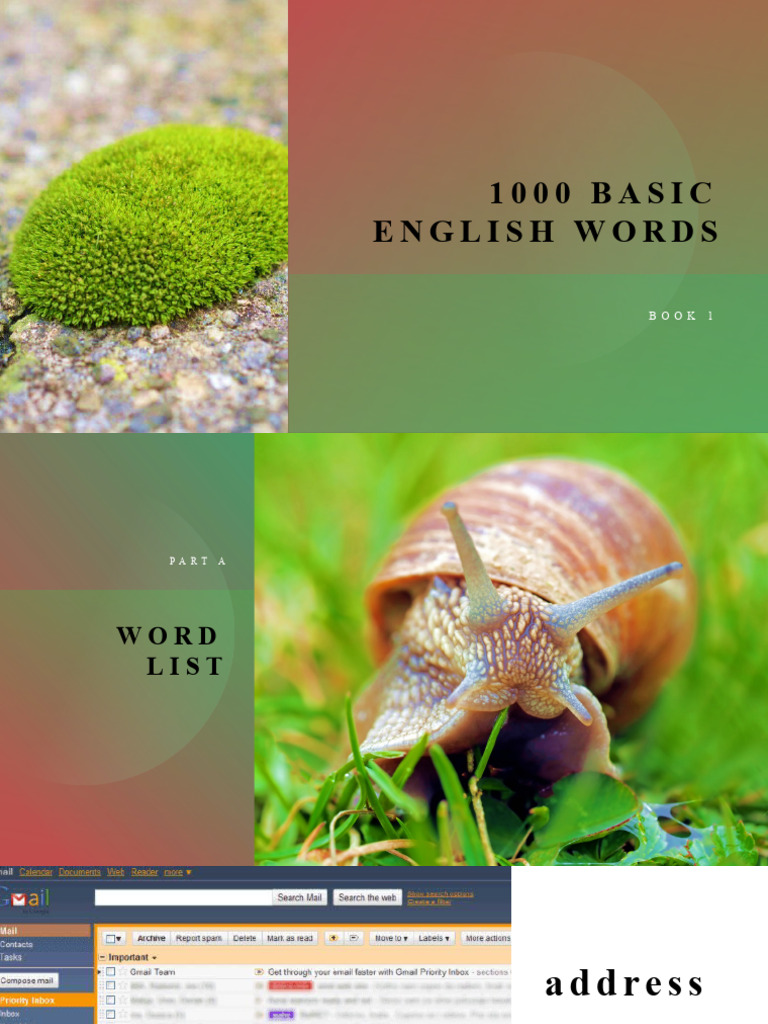 1000 Basic English Words Unit 3 | PDF | Verb | Linguistics