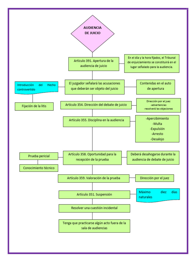 Proceso de Audiencia de Juicio | PDF | Justicia | Crimen y violencia