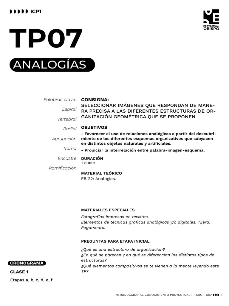 07 TP 07 Analogias 2024 | PDF