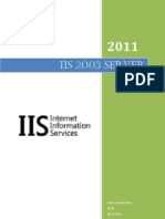 IIS W2003 Server