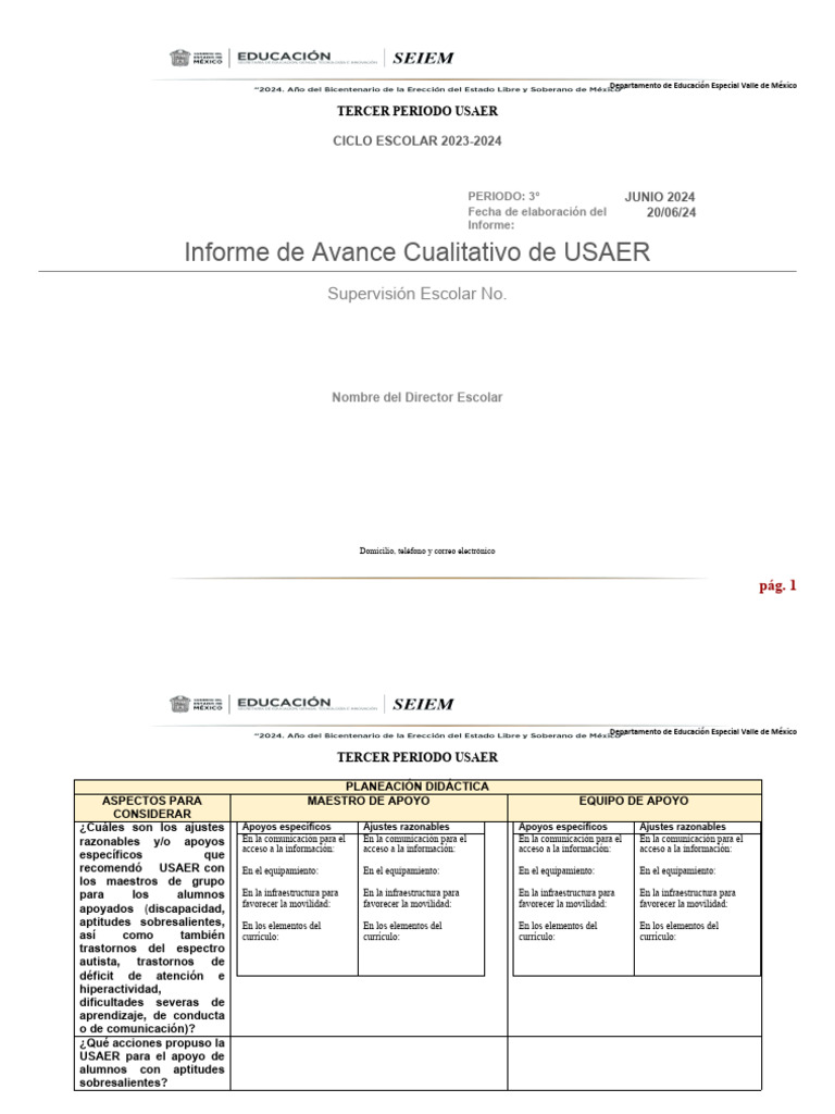 Informe Cualitativo USAER Primaria 2024 | PDF | Evaluación | Plan de ...