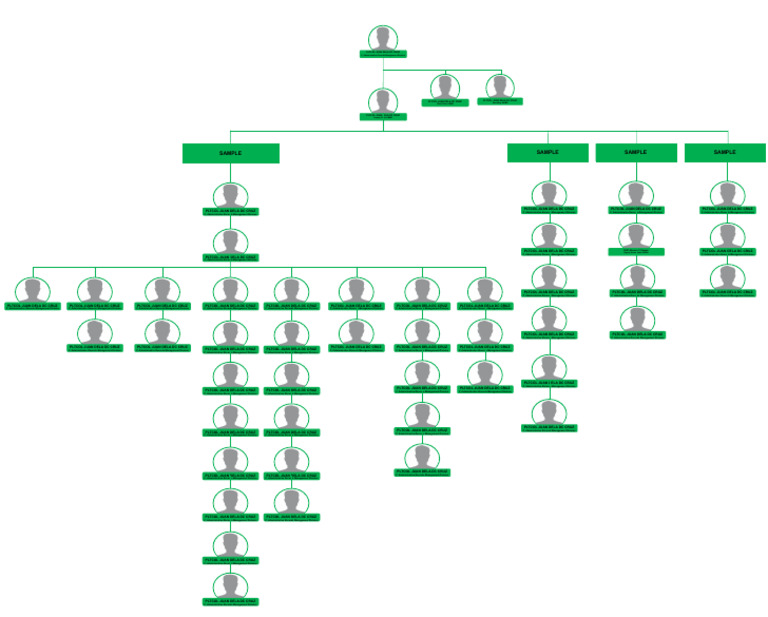 Organizational Chart Example | Download Free PDF | Business | Leadership