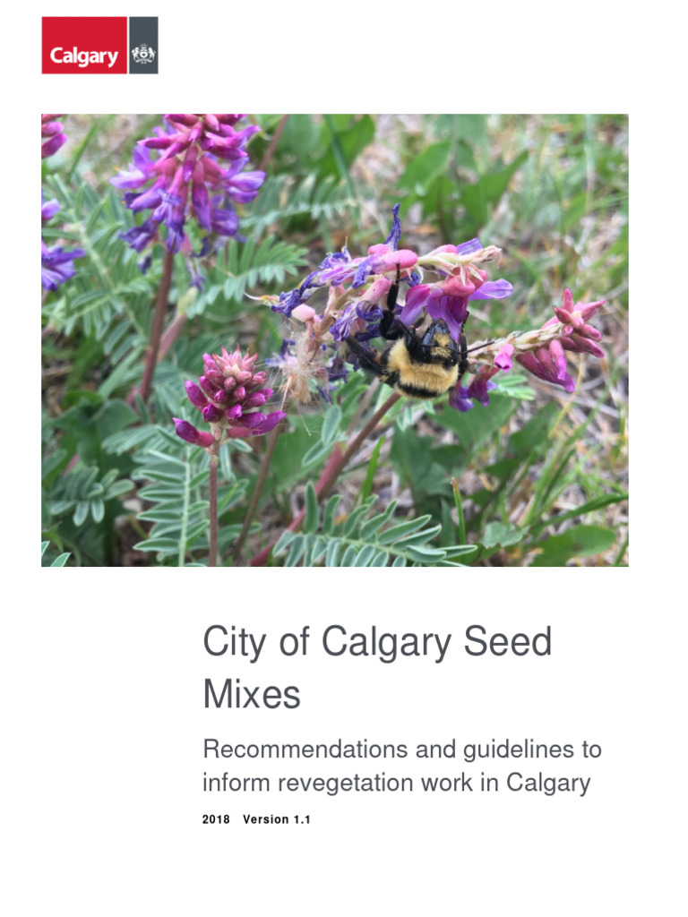 Calgary Seed Mix Guidelines 2018 | PDF | Restoration Ecology | Weed