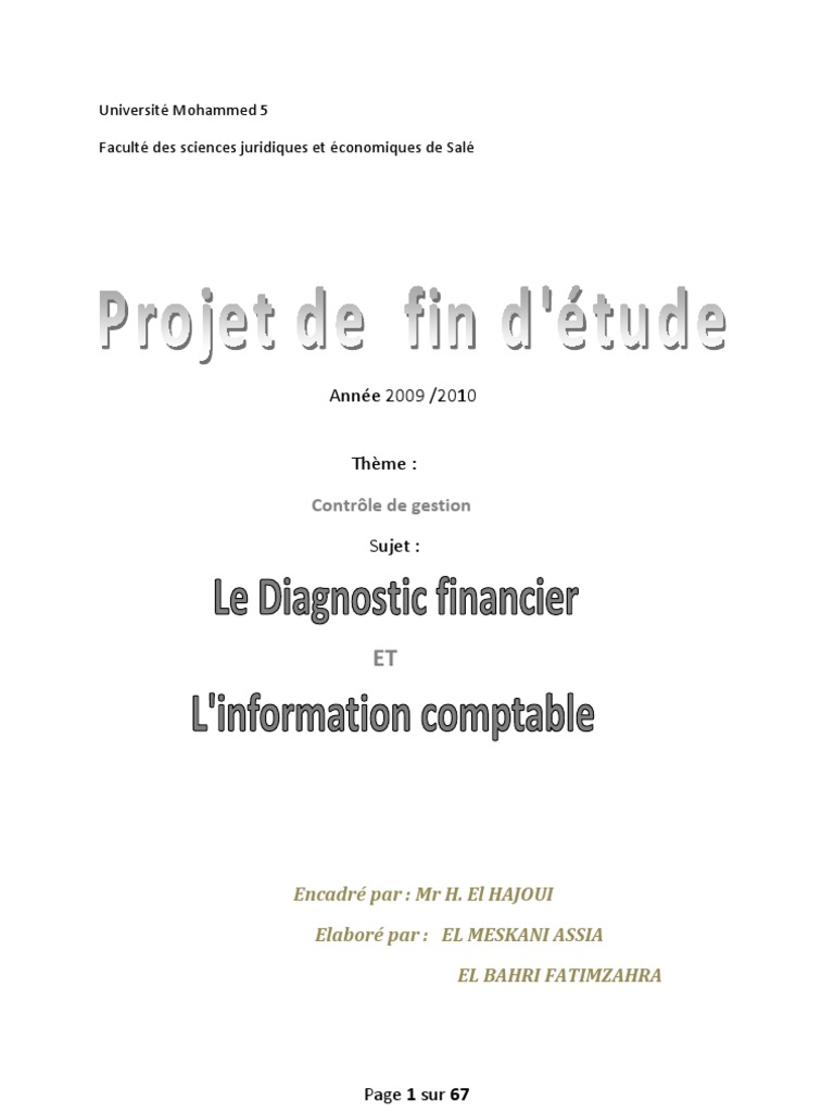 Le Pfe Memoire Pdf Fonds De Roulement Comptabilite