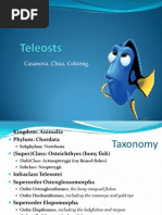 Teleosts