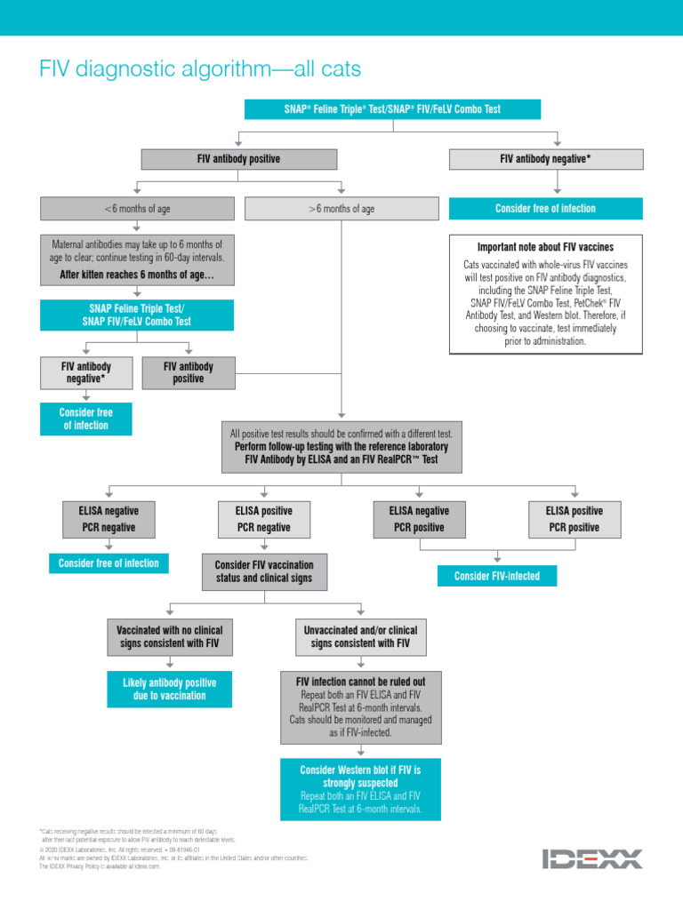Fiv Diagnostic Algorithim | PDF | Diagnosis Of Hiv/Aids | Diseases And ...