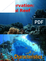 Conservation Coral Reef