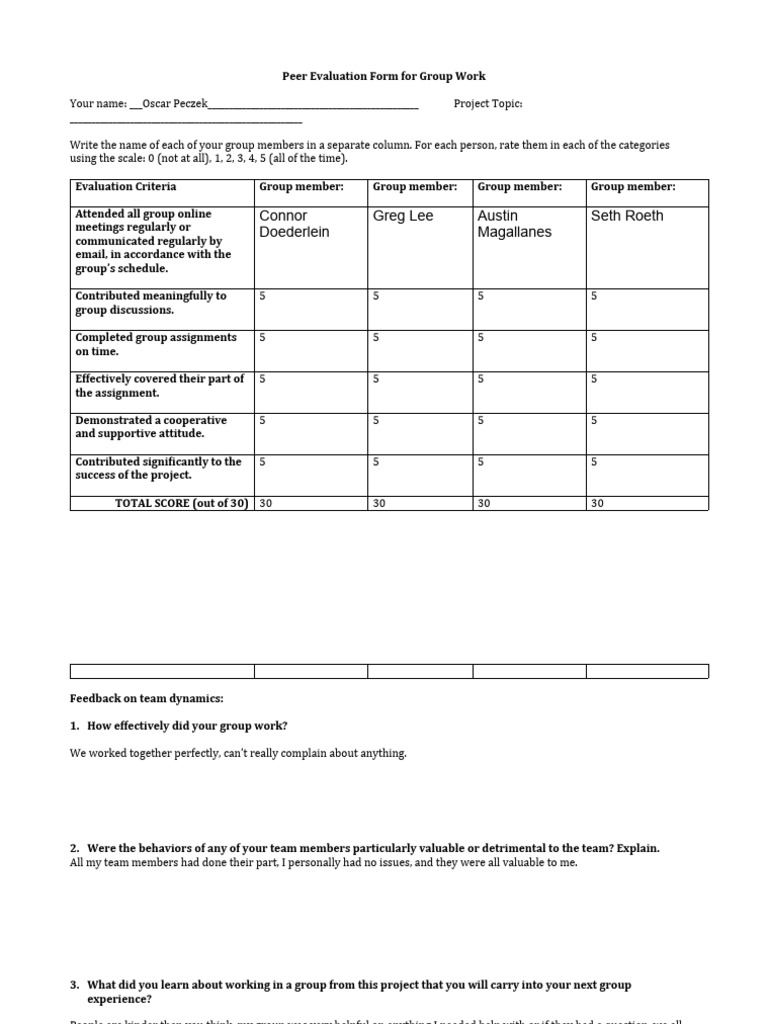 Project - One - Evaluation - of - Self - and - Group (2) - 1 | PDF ...