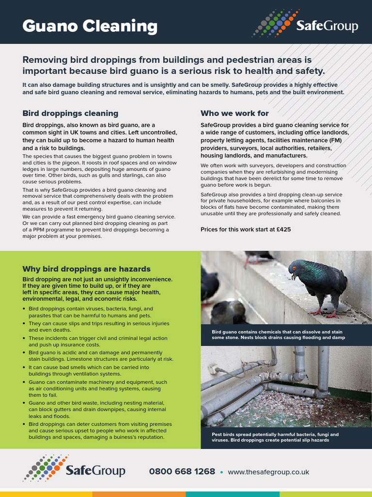 Pigeon Guano Cleaning Services in Manchester | PDF | Hazards | Pest ...