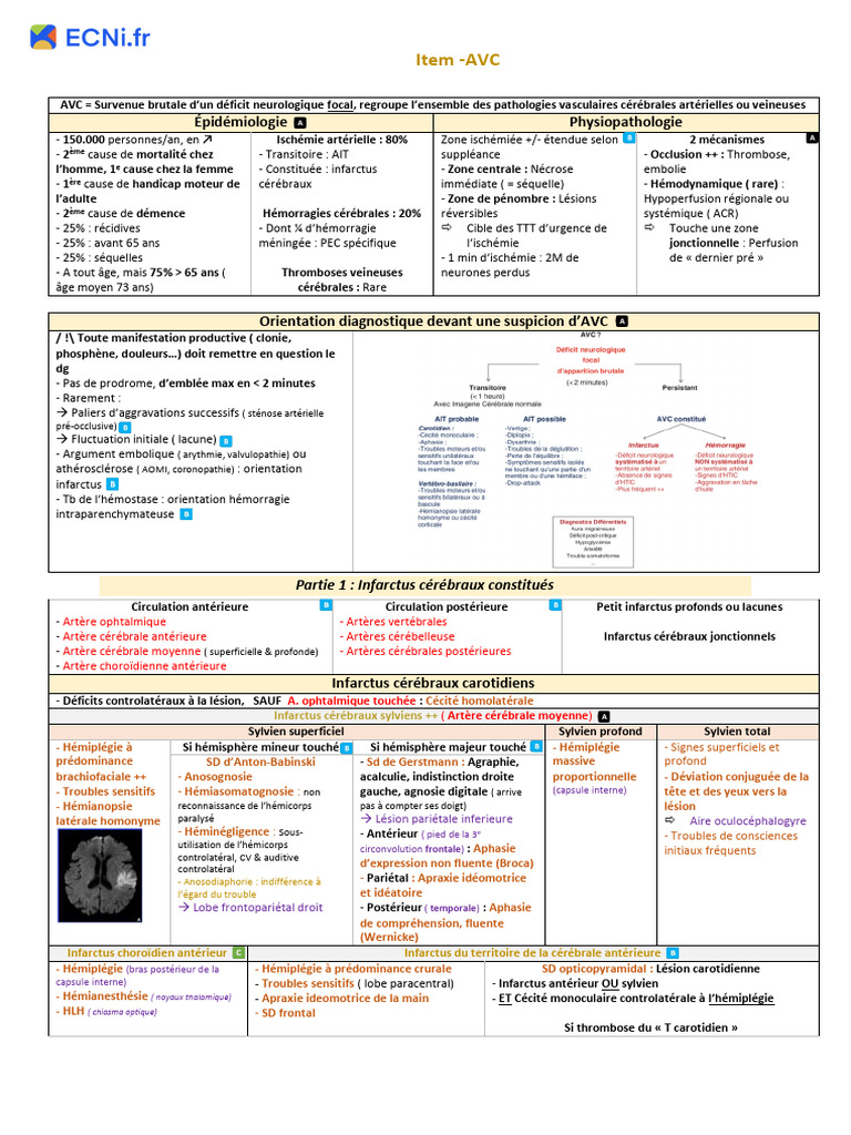 Comprendre l'AVC : Épidémiologie et Types | PDF | Accident vasculaire ...