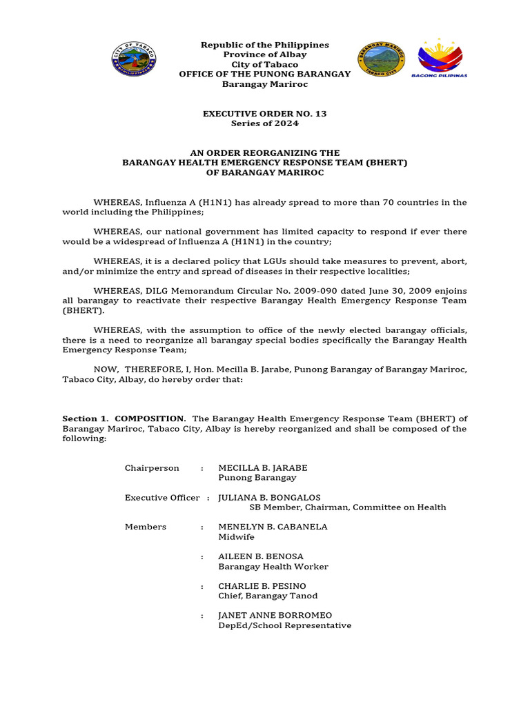 Reorganization of Barangay Health Team | PDF | Influenza | Public Health