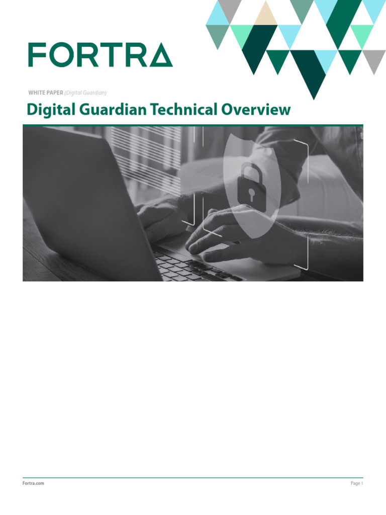 Dg Platform Technical Overview Wp Pdf Cloud Computing Security