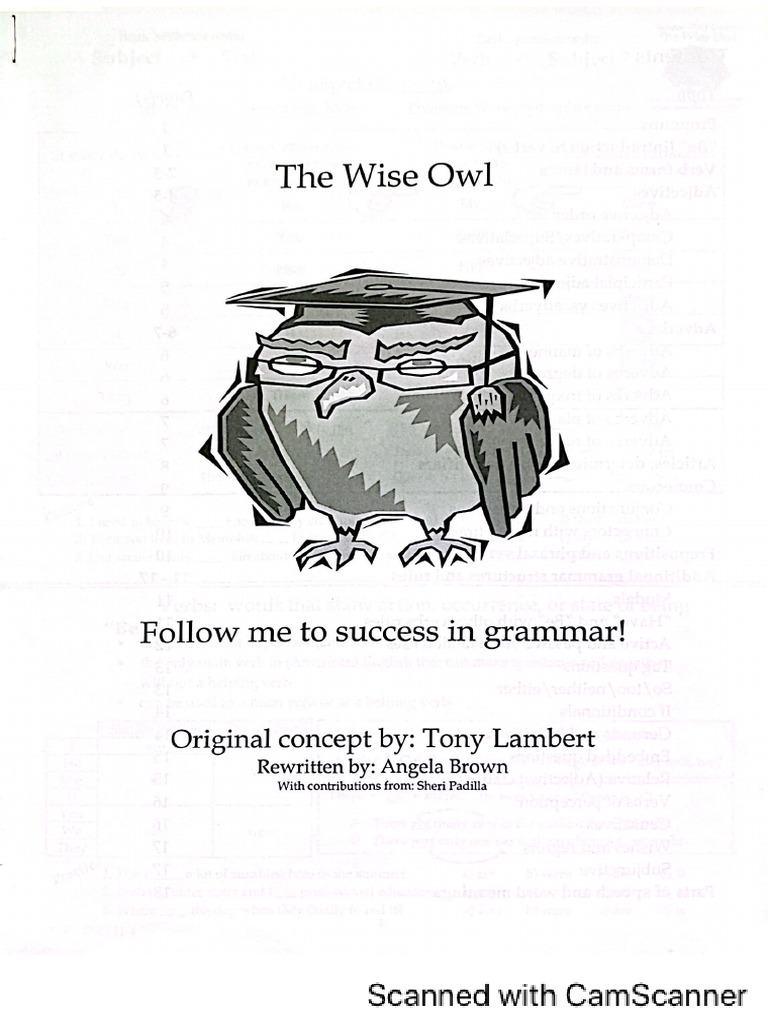 The Wise Owl | PDF