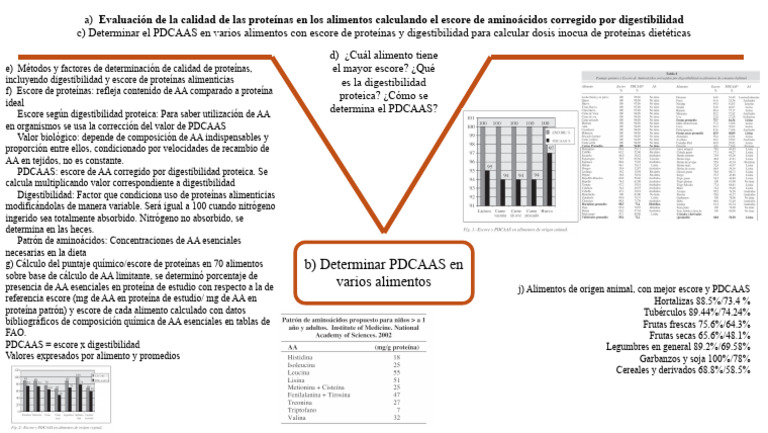 Evaluación del PDCAAS en Alimentos | PDF | Proteínas | Nutrientes