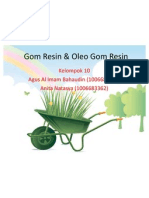 Gom Resin & Oleo Gom Resin