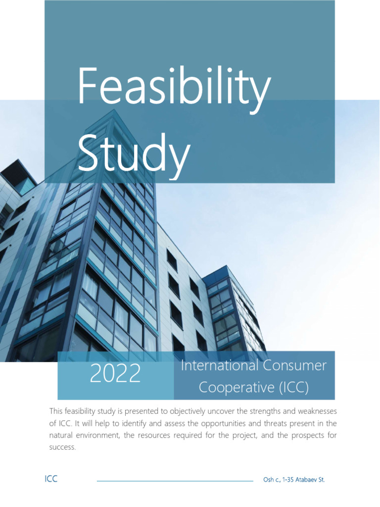 V1 0 Icc Feasibility Study Pdf Expense Kyrgyzstan