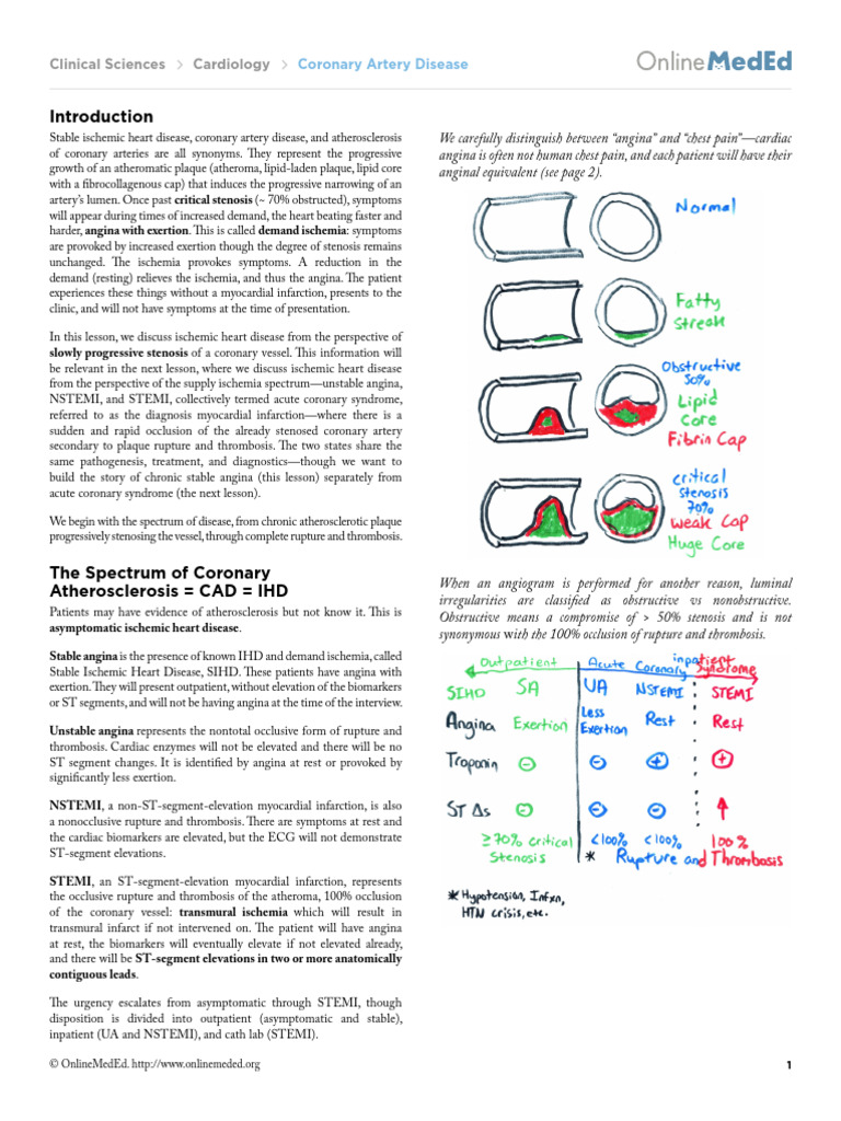 Understanding Stable Angina and CAD | PDF | Coronary Artery Disease ...
