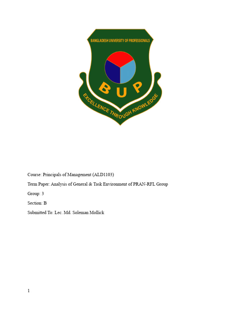 Rayeed | PDF | Supply Chain | Innovation