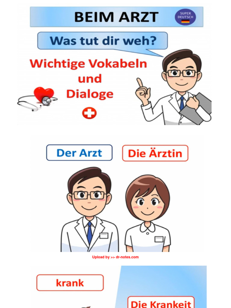 Beim Arzt German Vocabulary PDF 5jl DR Notes | PDF