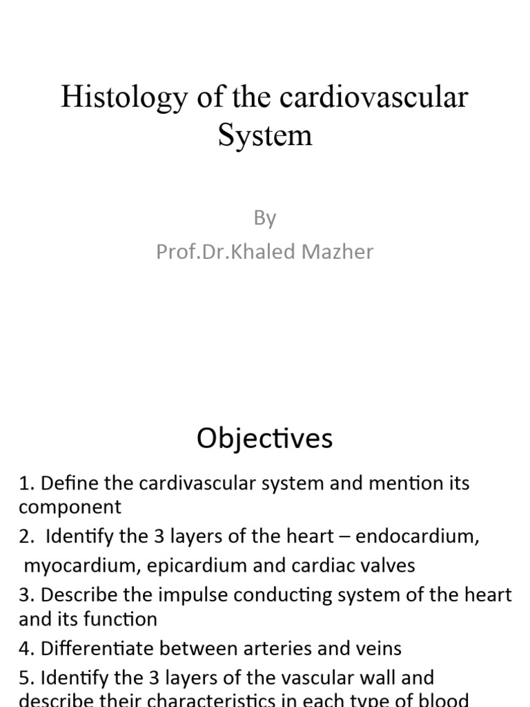 Histology of The Circulatory System | PDF | Capillary | Heart Valve