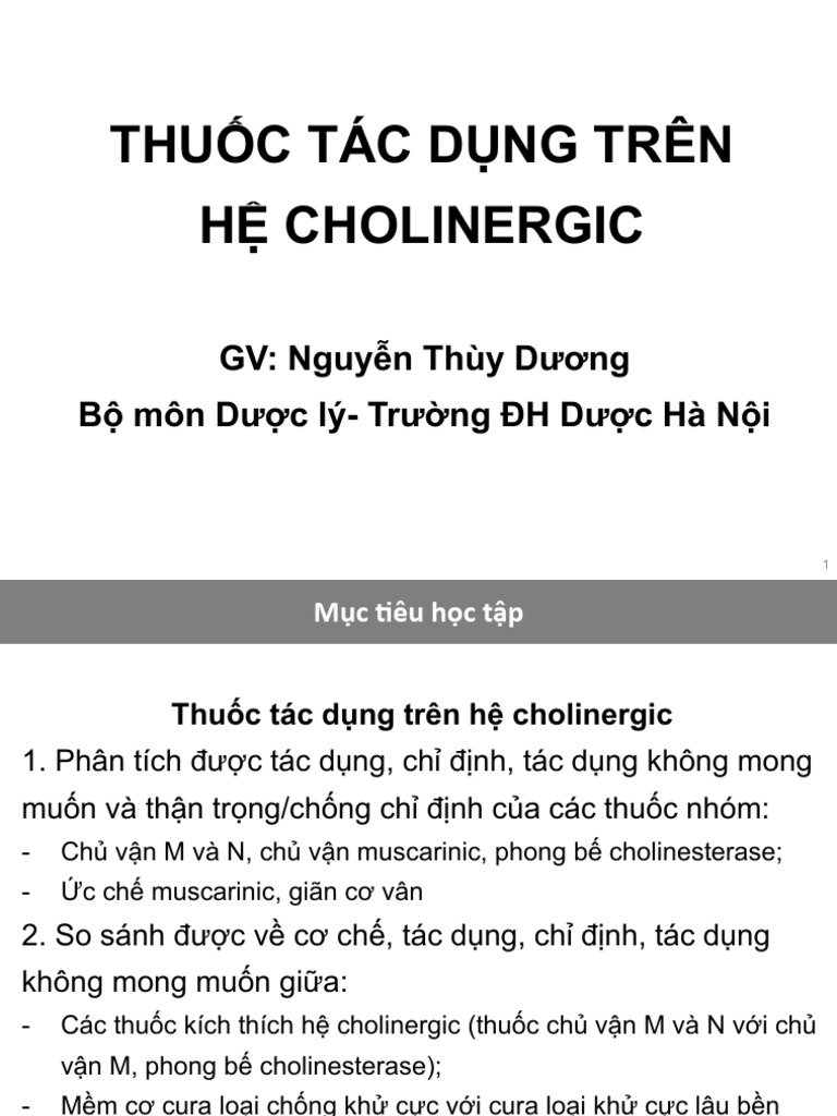 3 cholinergic 24 download free pdf acetylcholine neuromuscular