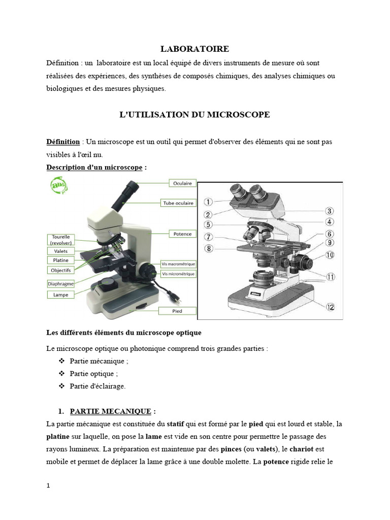 Parties et utilisation du microscope optique | PDF | Épithélium | Optique