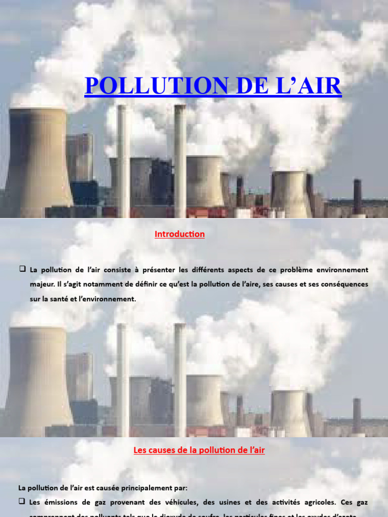 Causes et conséquences de la pollution de l'air | PDF | Pollution de l ...