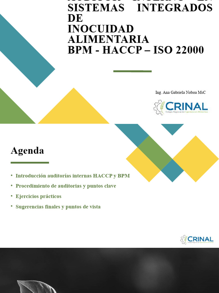 Auditoría Interna en Inocuidad Alimentaria | PDF | Análisis de Riesgo y ...