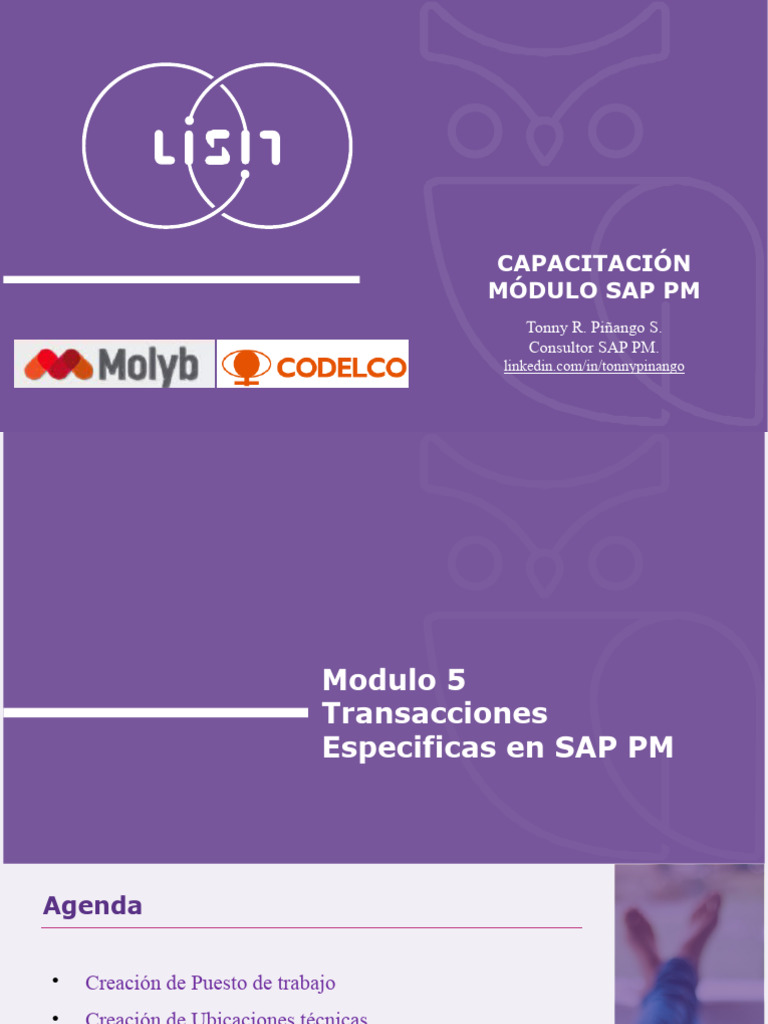 molyb-mod-5-transacciones-especificas-en-sap-pm-descargar-gratis-pdf