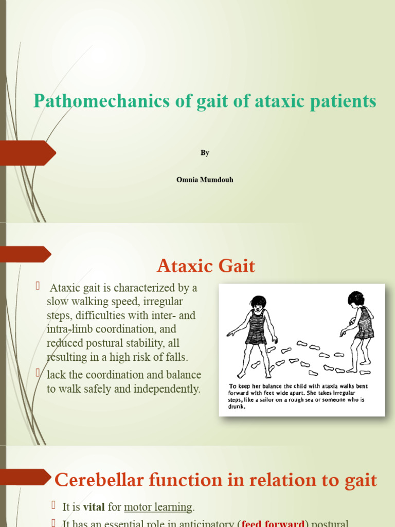 Ataxic Gait: Pathomechanics Explained | PDF | Cerebellum | Motor ...