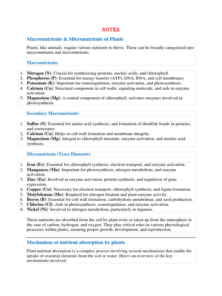 Plant Physio Notes | PDF | Plant Nutrition | Stoma