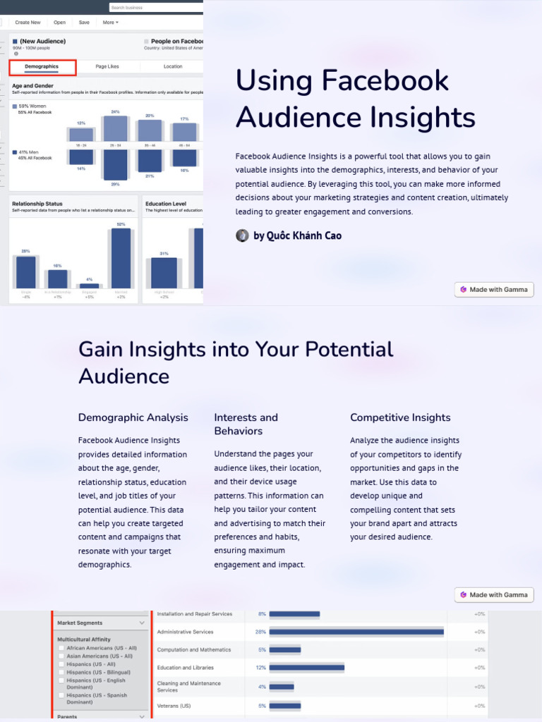 Using Facebook Audience Insights | PDF | Target Audience | Advertising