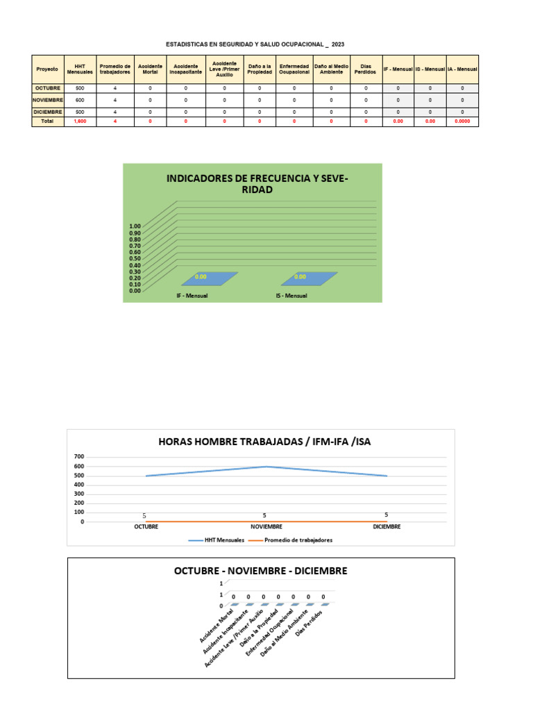 137 Registro de Accidentes y Estadisticas PDF
