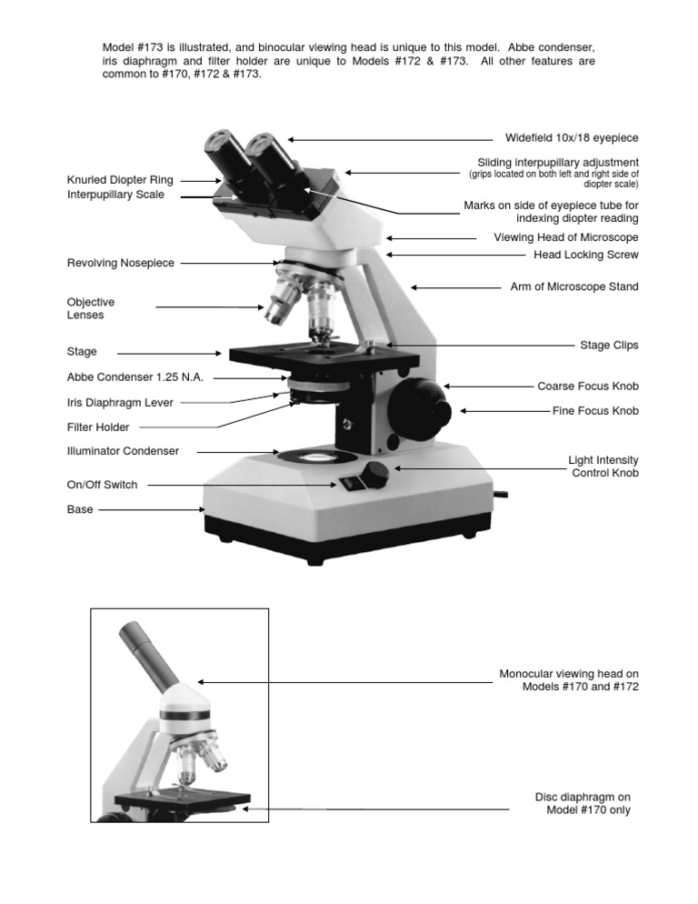 Microsope Diagram | PDF | Technology & Engineering
