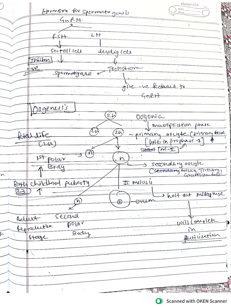 Reproductive Health | PDF