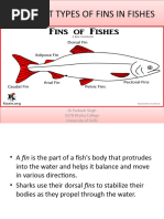 Types of Fish Fins and Their Functions | PDF