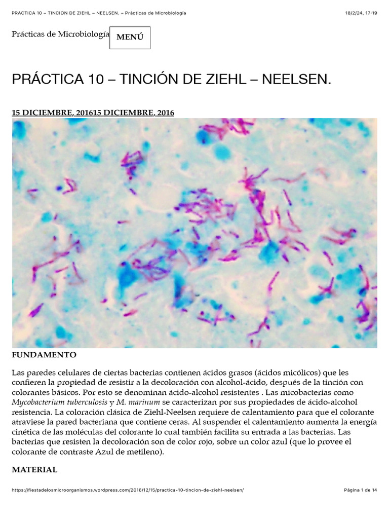 PRÁCTICA 10 TINCIÓN DE ZIEHL NEELSEN. Prácticas de Microbiología