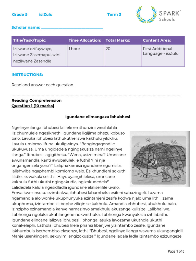 Zulu people intelligence overview