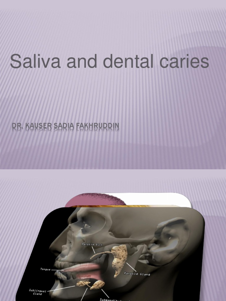 Saliva and Caries Saliva Mouth