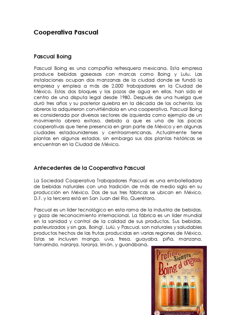 Historia y Productos de Pascual Boing | PDF | Alimentos | Business