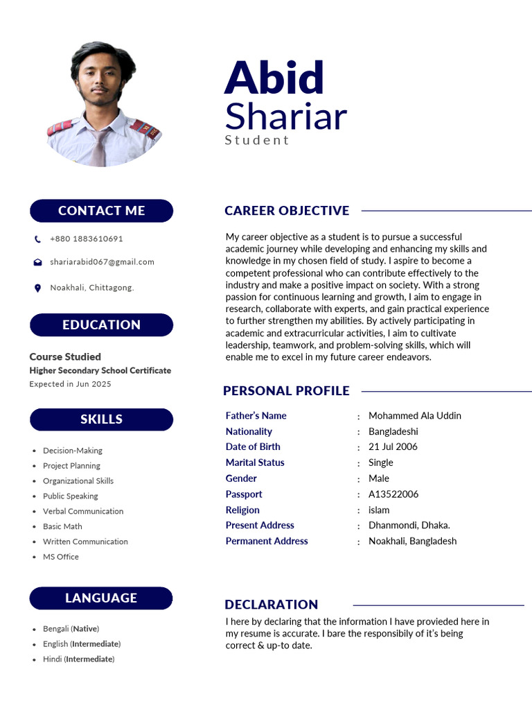 Professional CV Resume | PDF
