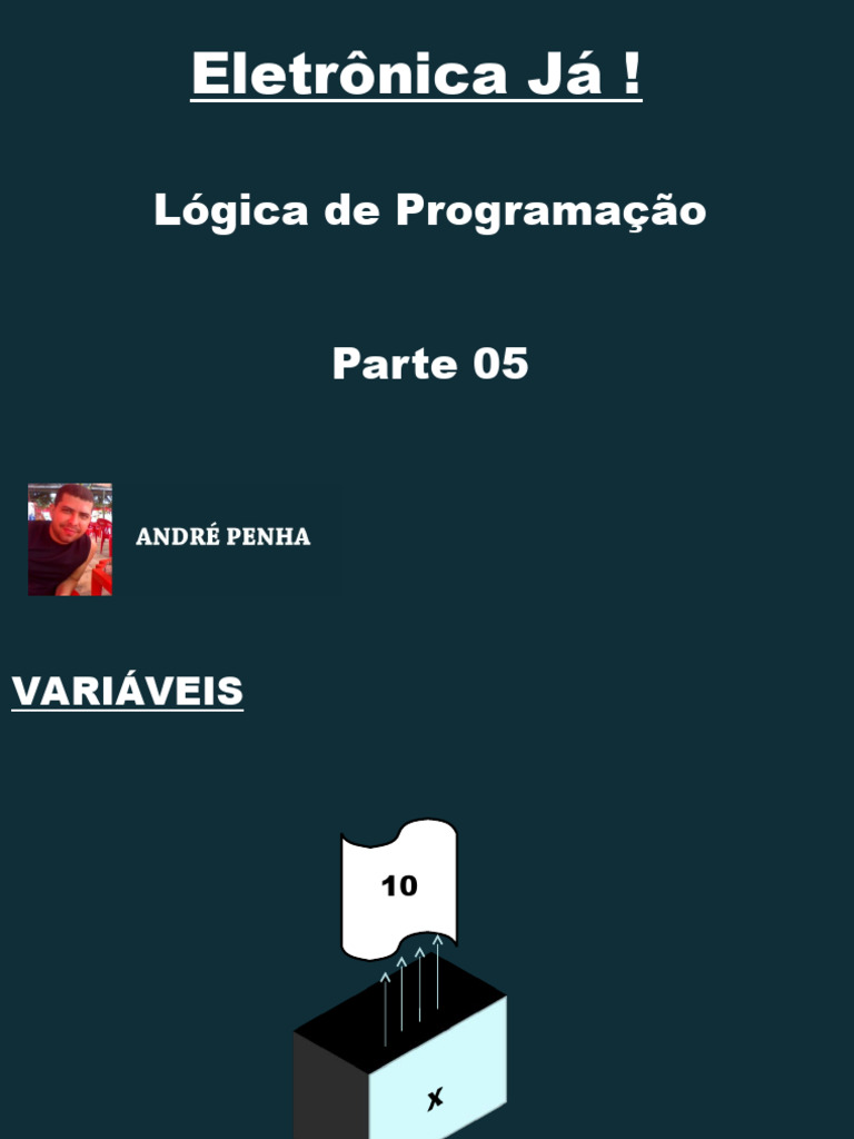 Variáveis e Tipos de Dados em Programação | PDF | Variável (Matemática ...
