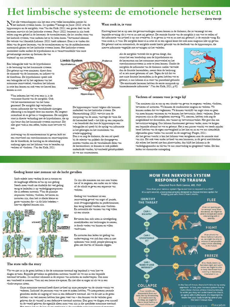 Limbic | PDF