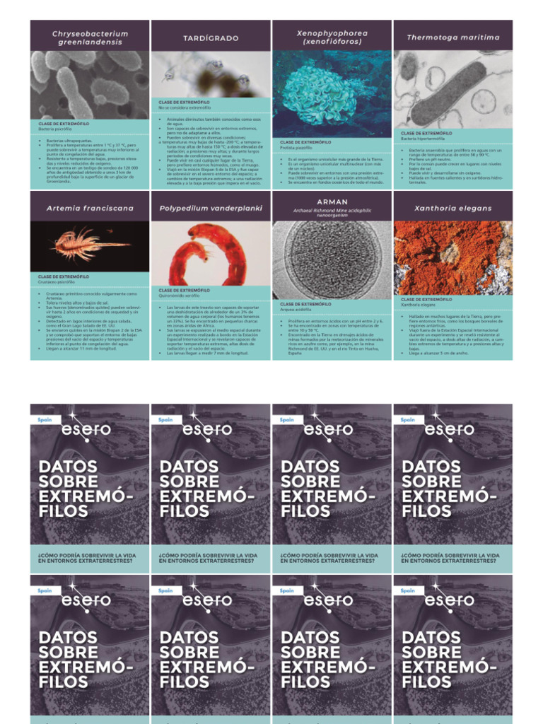 Fichas Podria La Vida Extremofilos | PDF