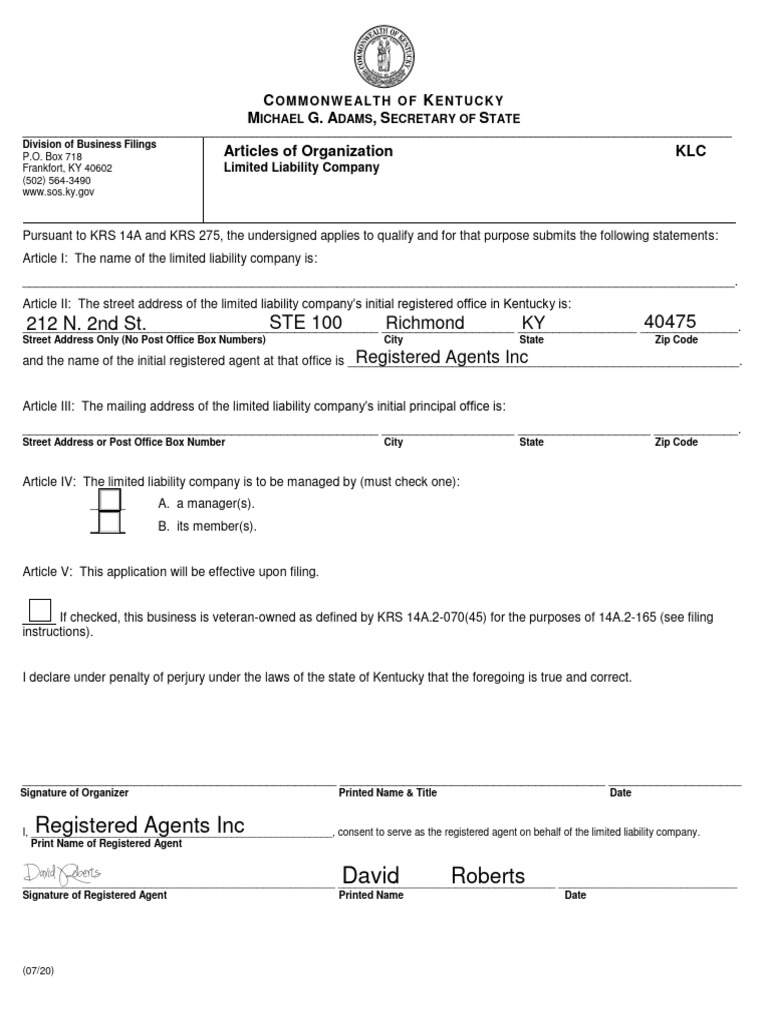 DOMESTIC LIMITED LIABILITY COMPANY intelligence overview