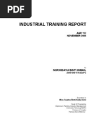 INDUSTRIAL TRAINING REPORT